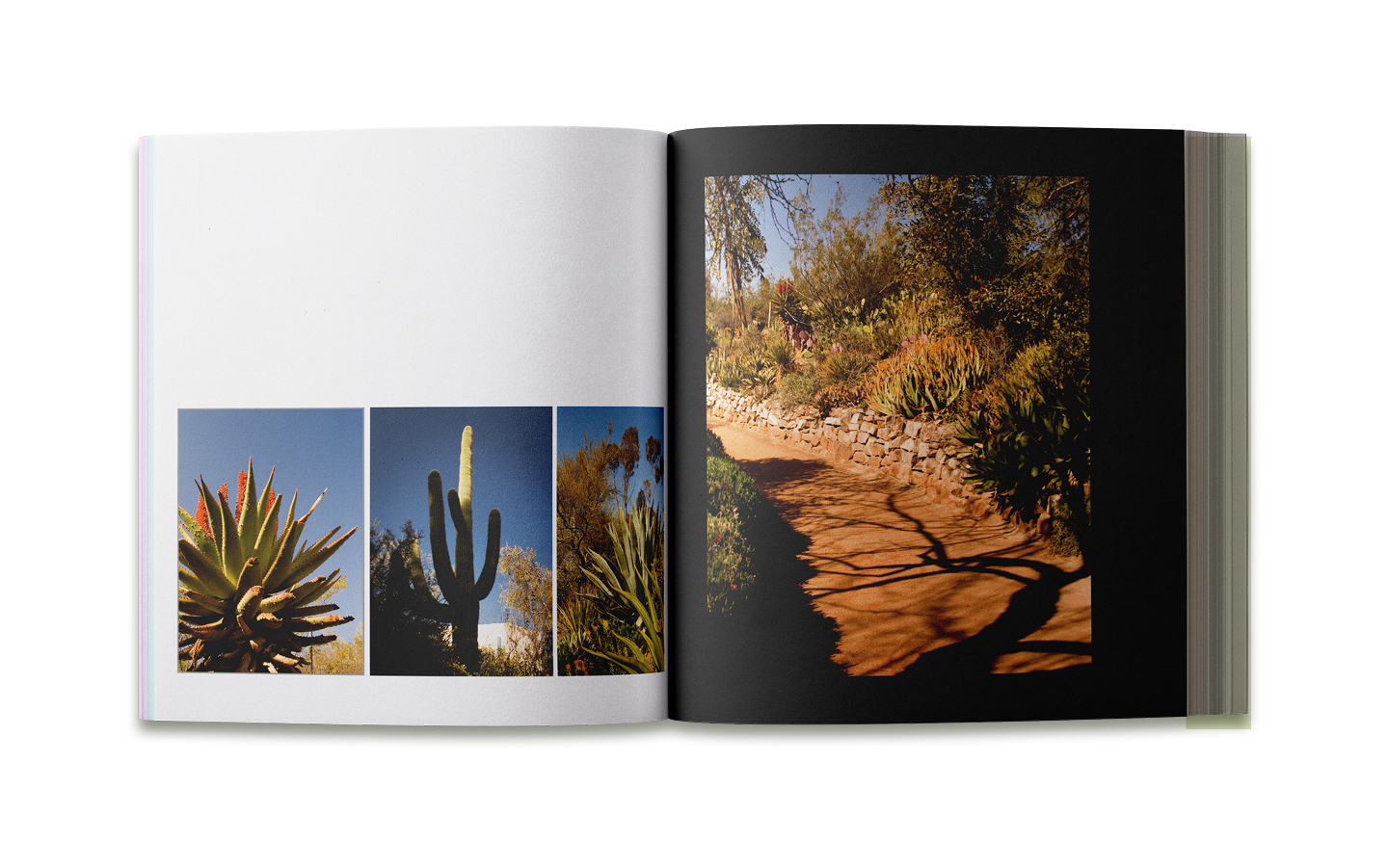 Nel-Pallay-Boyce-Thompson-Arboretum-Photo-Book-Design